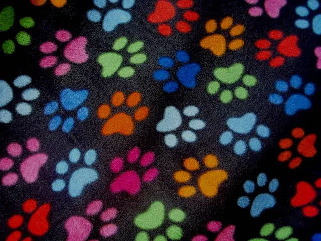 Paws - Fleece Print